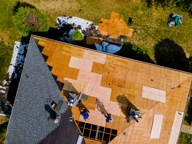 Best Residential Roof Replacement  in Laurel, MS