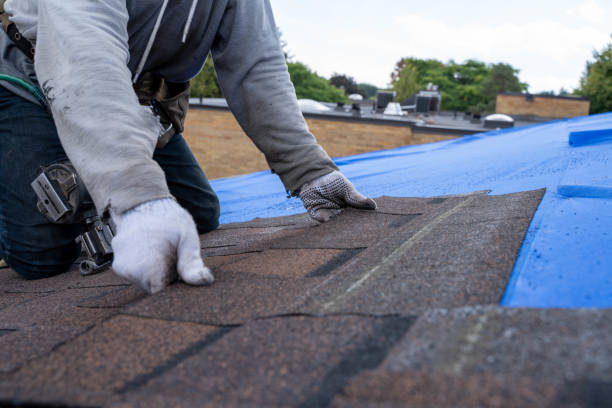 Residential Roof Replacement in Laurel, MS