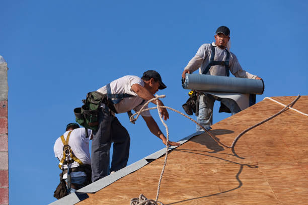 Best Local Roofing Companies  in Laurel, MS