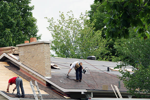 Best Storm Damage Roof Repair  in Laurel, MS